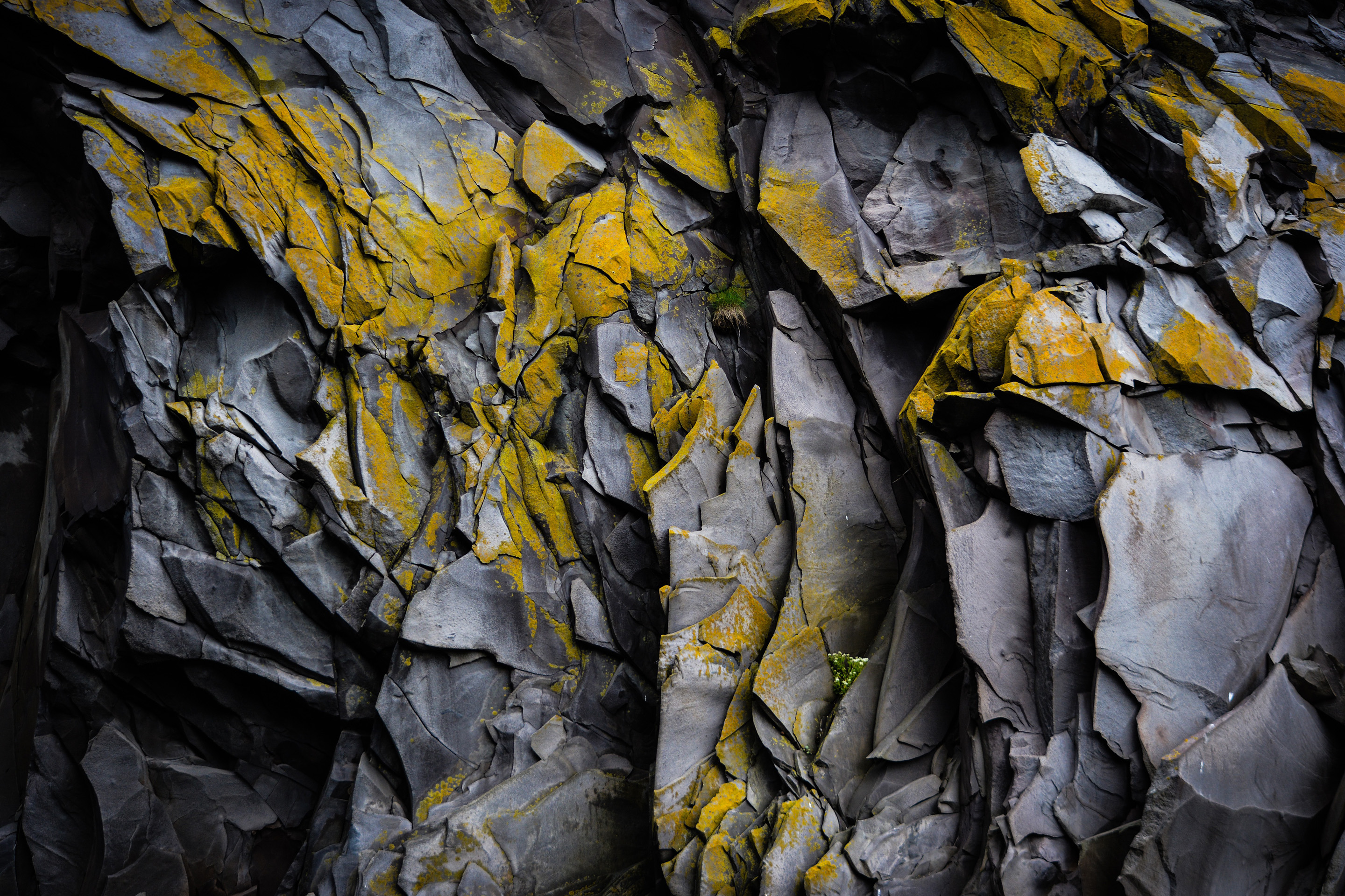 Foto: Felswand mit gelben Moos